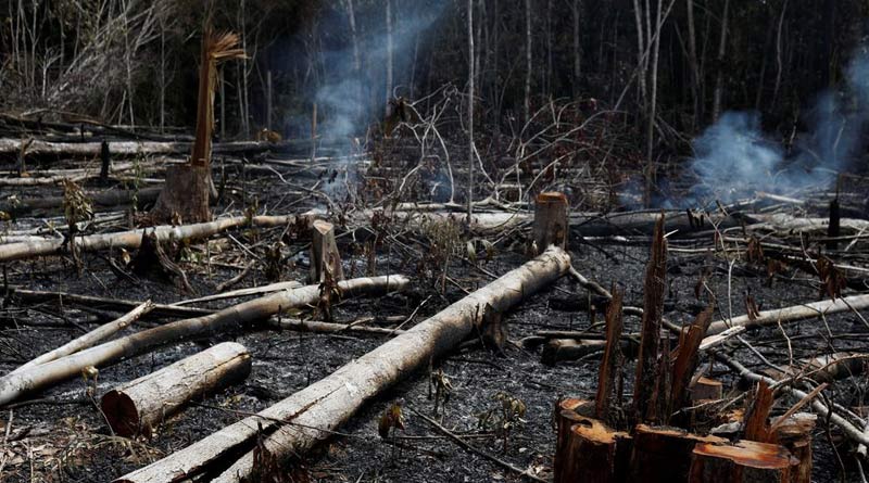 Satellite images of Amazon fire show that it is not natural but manmade