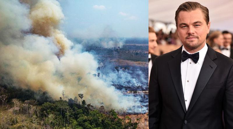 Leonardo DiCaprio donated money to save the Amazon rainforest
