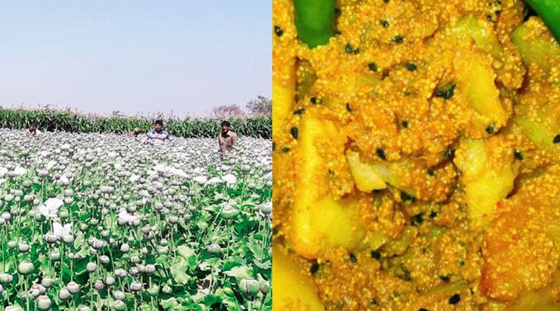 West Bengal govt prepares for poppy cultivation, seeks permission from Centre | Sangbad Pratidin