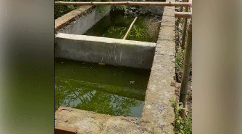 সরকারি দপ্তরই ডেঙ্গুর আঁতুড়ঘর! পুরসভার ভূমিকায় বাড়ছে ক্ষোভ