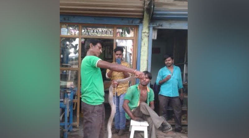 সাপ ধরার নেশাই ডেকে আনল বিপদ, গোখরোর ছোবল খেয়ে হাসপাতালে সর্পপ্রেমী