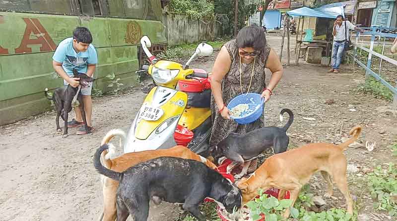Woman takes a loan of Rs 3 lakh to feed stray dogs