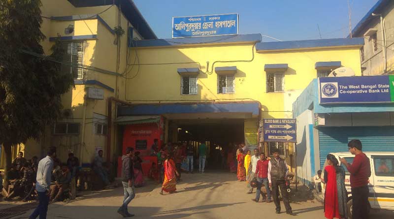 বাইসনের শিং ফুটো করল হৃৎপিণ্ড, জেলা হাসপাতালের জটিল অস্ত্রোপচারে বৃদ্ধার প্রাণরক্ষা
