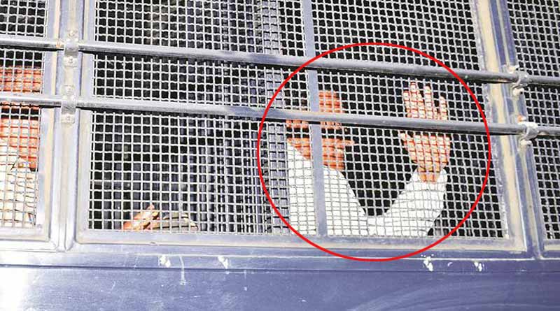 P Chidambaram spent the first night at jail no. 7 at Tihar