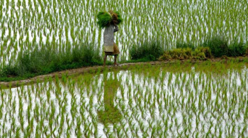 Here is how the farmers will benefit from Centre, State schemes