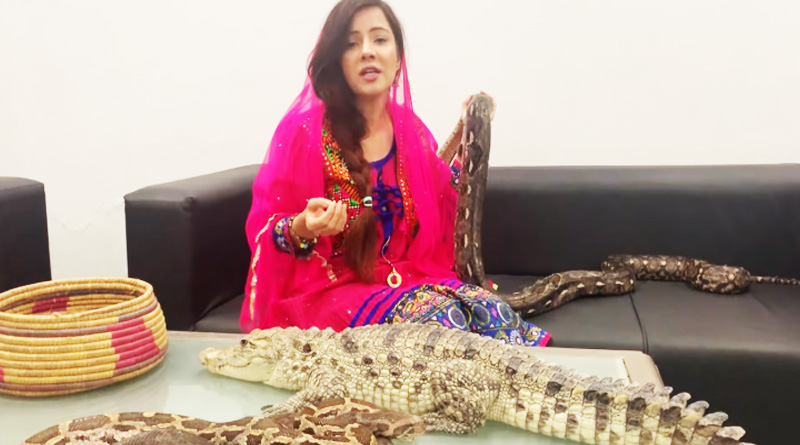 Pakistani pop star tuned actress Rabi Pirzada faces jail