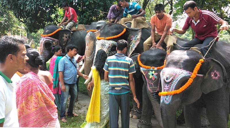 Forest officers worship elephants at the day of Biswakarma Puja