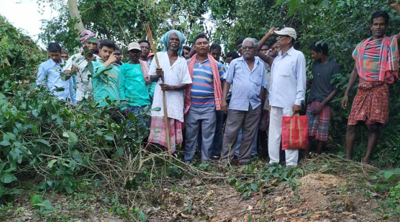 Almost 35 trees in Baghmara village, Burdwan have been cut by the thief