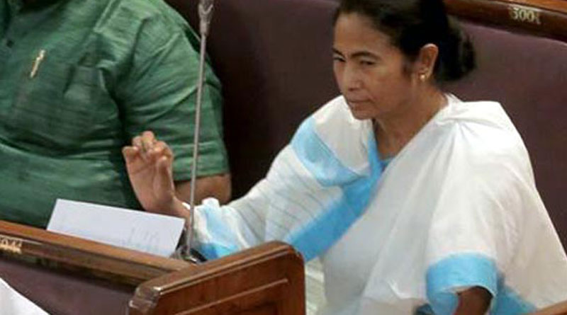 ডেঙ্গু নিয়ে বিধানসভায় উদ্বেগ মুখ্যমন্ত্রীর, মনে করালেন নাগরিক দায়িত্ব পালনের কথা