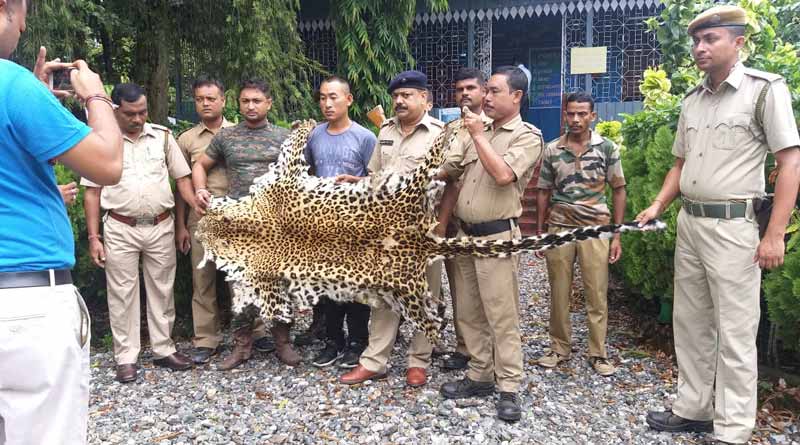 11 feet leopard skin recovered from Alipurduar, poachers arrested