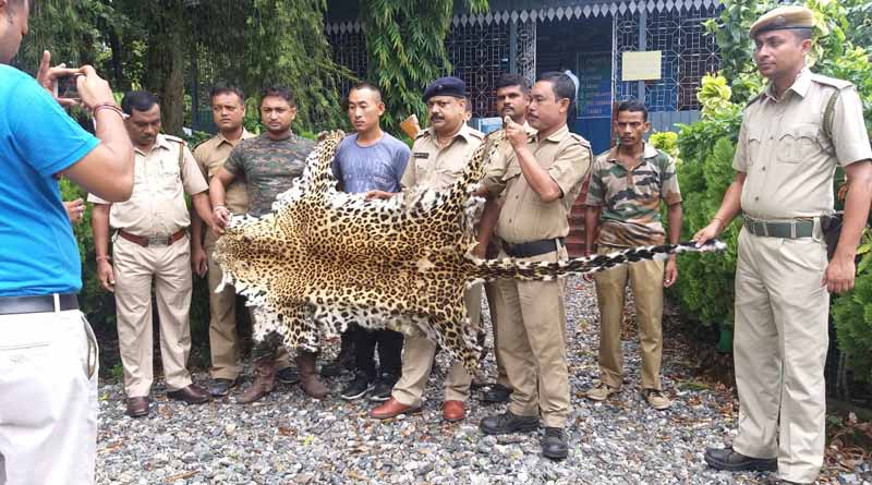 পাচারের ছক বানচাল, আলিপুরদুয়ারে লেপার্ডের চামড়া-সহ ধৃত ভুটানি