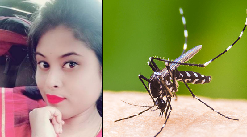 ফের ডেঙ্গুর বলি রাজ্যে, বিধাননগরে মৃত্যু যুবতীর