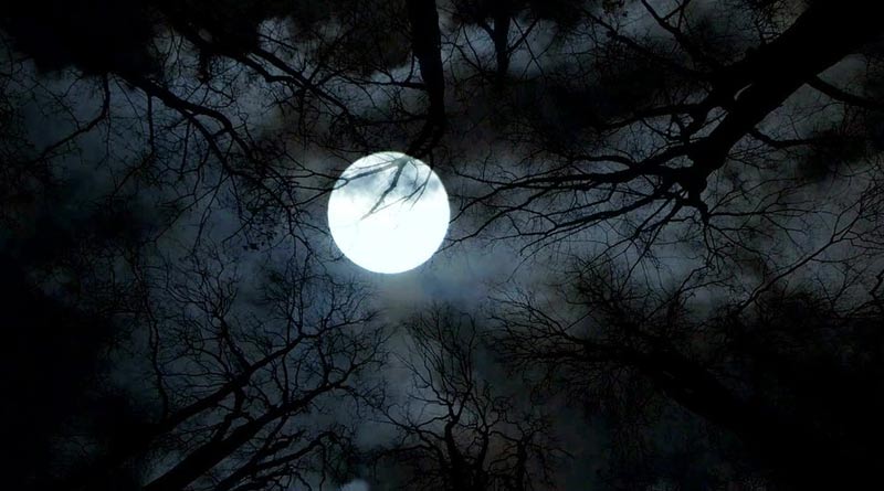 Rare full harvest micro-moon is coming for Friday the 13th