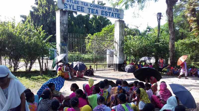 Sylee Tea Estate downs shutter over Durga Puja bonus row
