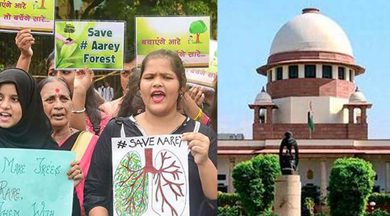 Relief to petitioners, Supreme Court stays tree cutting in Aarey forest