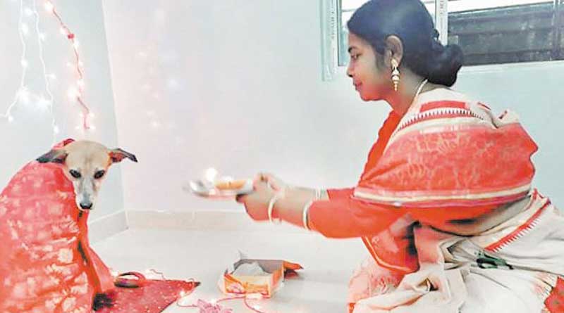 কোজাগরীতে অন্য পুজো, লক্ষ্মীর আসনে সারমেয়