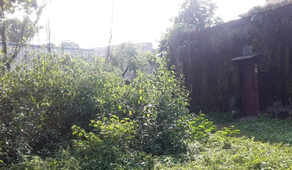 jhalda-laibrary1