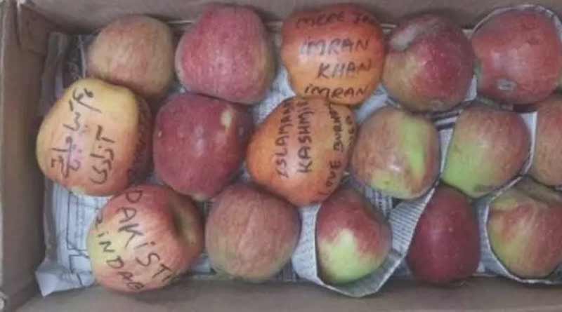 Terrorist Burhan Wani's name on apples in Kashmir