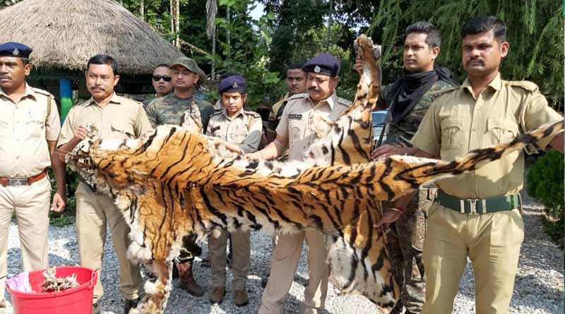 পাচারের আগেই সীমান্ত থেকে উদ্ধার বাঘের চামড়া, গ্রেপ্তার ২ ভুটানি