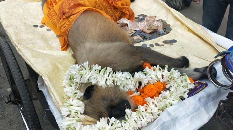বিদ্যুৎস্পৃষ্ট হয়ে হনুমানের মৃত্যু, রামভক্তের শেষকৃত্যে পথে নামল বিজেপি