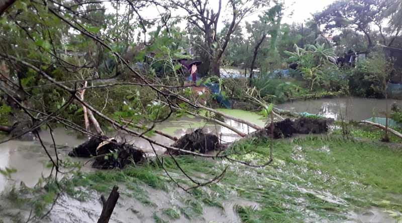 Severe cyclone Bulbul affects in Sunderban, damaged many home