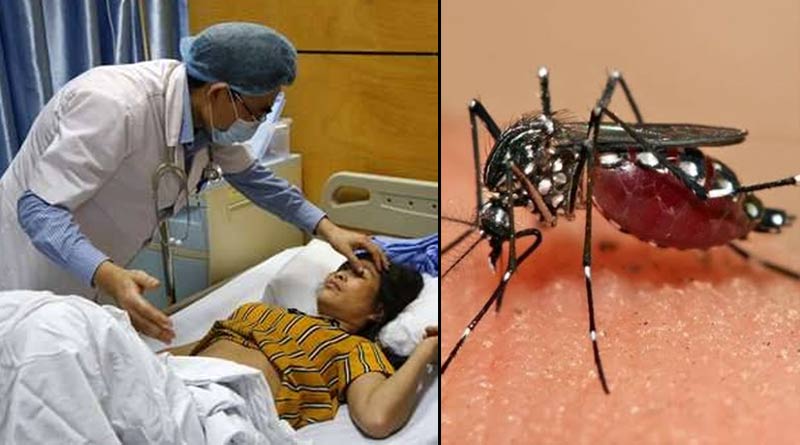Here are some important tips to prevent Dengue
