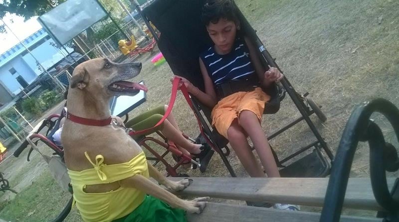 This dog in Kolkata is a mater therapist, Cures 500 children