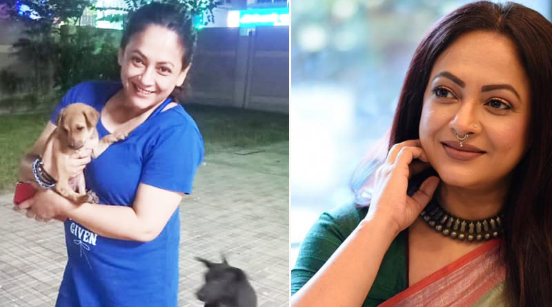 অসহায় কুকুরছানাকে আশ্রয় দিয়ে প্রতিবেশীদের কটাক্ষের শিকার শ্রীলেখা