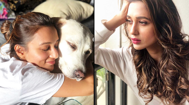 TMC MP Mimi Chakraborty bats for animal rights in parliament