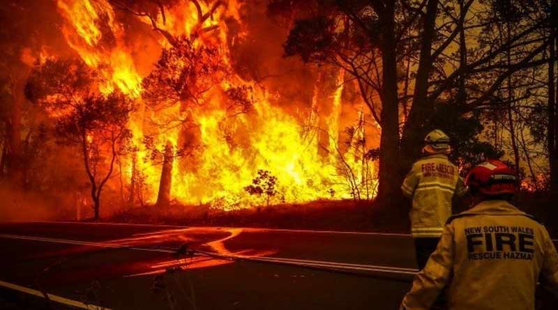 Massive blaze engulfed Australia, tourists flee to water for shelter