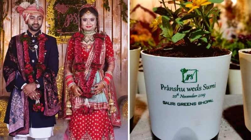 A green affair: Bhopal family replaces wedding cards with potted plants
