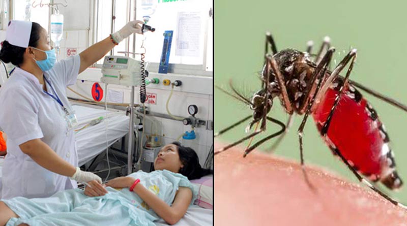 Here are some important diet tips for dengue patient