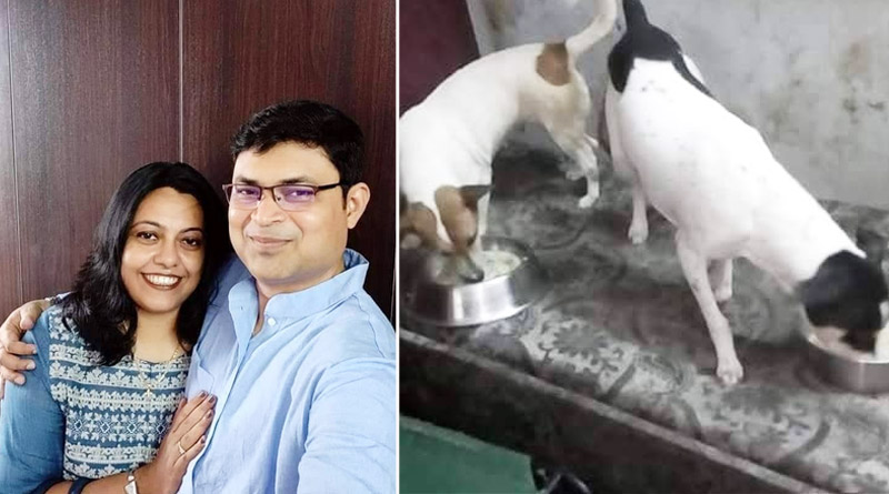 Kolkata couple treated stray dogs for their marriage anniversary