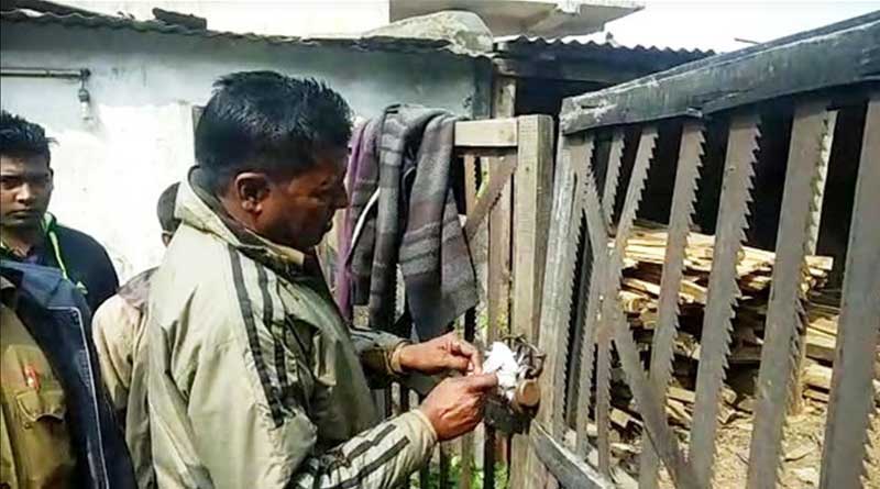 বেআইনি কাঠকলে হানা বন দপ্তরের, উদ্ধার বিপুল পরিমাণ গাছ