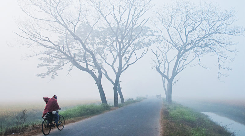রাজ্যজুড়ে দাপিয়ে ব্যাটিং শীতের, দোসর ঘন কুয়াশা