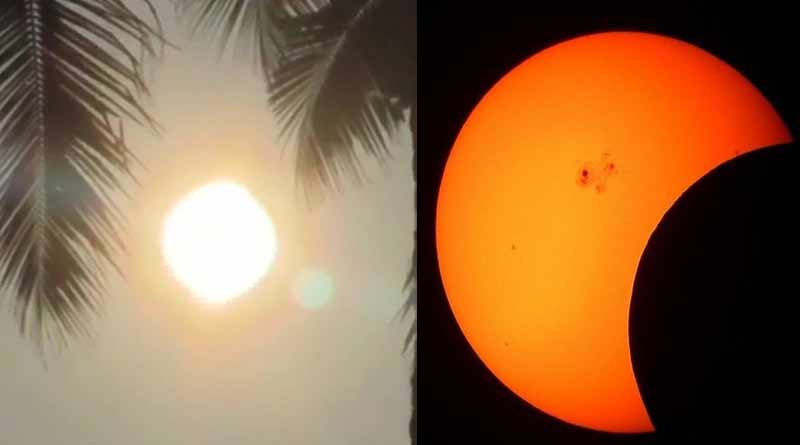 চাঁদে ঢাকল সূর্য: বছরের শেষতম বলয়গ্রাস গ্রহণের কয়েকটি ছবি