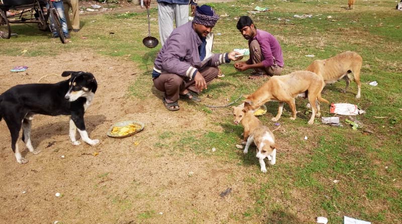 অভাবের সংসারে হাঁড়ি চড়ে না, লটারি বিক্রির কমিশনে কুকুরদের মাংসভাত খাওয়ালেন যুবক