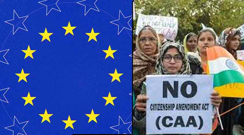 Entirely internal matter' India slams anti-CAA resolution in EU Parliament