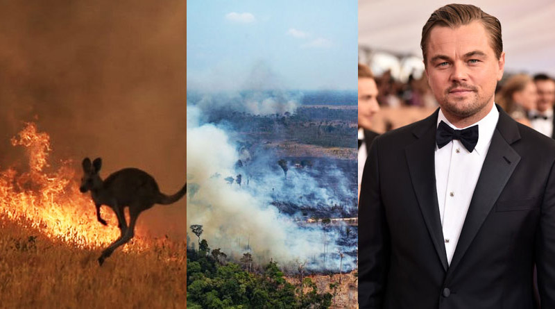 Leonardo DiCaprio’s Earth Alliance launches Australia Wildfire Fund