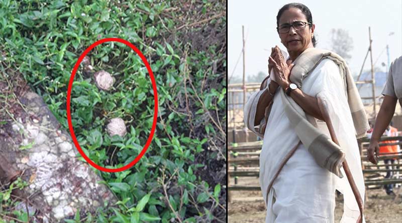 ‘রাজ্যে বন্‌ধ হয়নি, শুধু গুন্ডাগিরি হয়েছে’, সিপিএমকে তোপ ক্ষুব্ধ মুখ্যমন্ত্রীর