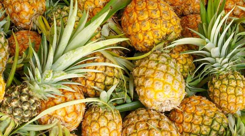 Siliguri's pineapple farmers faces trouble due to lockdown