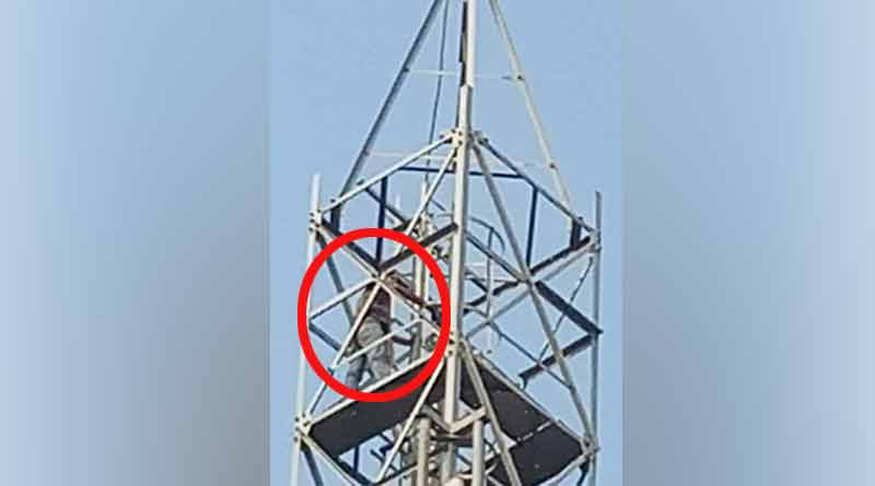 Drunk man climbs atop mobile tower after brawl with family