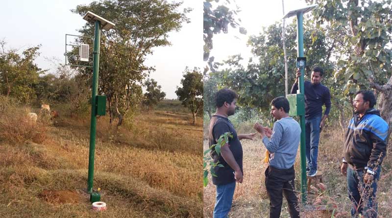 হাতিদের গতিবিধি আগাম জানাতে এবার লেজার লাইটের সাহায্য নিচ্ছে বনদপ্তর