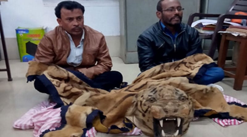 3 Arrested for smuggling tiger skin in a hotel at Panchanna gram