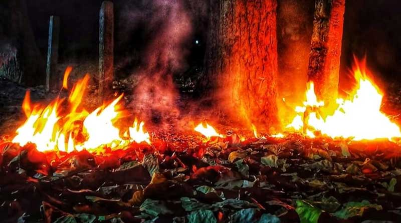 Bushfire at junglemahal in Jhargram is suspected as 'man-made'