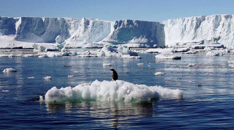 Record temparature rises in Antarctica, melting ice raises worry