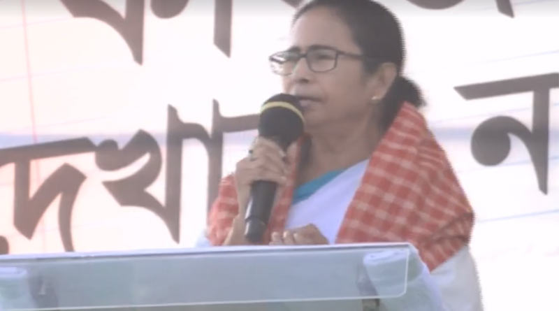 ‘উদ্বাস্তুদের নিয়ে মিথ্যে বলছে বিজেপি’, মতুয়া গড়ে দাঁড়িয়ে NRC-CAA বিরোধিতা মমতার
