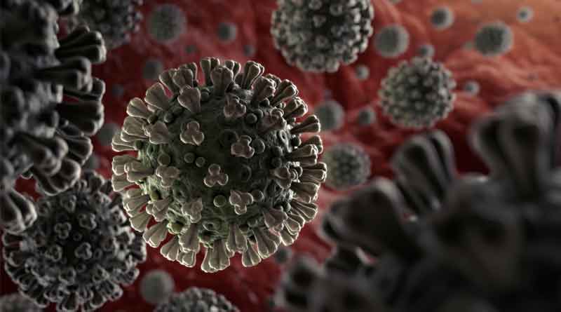 Coronavirus Disease 2019: here are some Myth vs. Fact