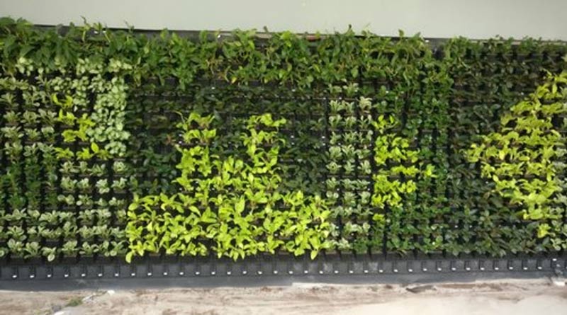 green-wall