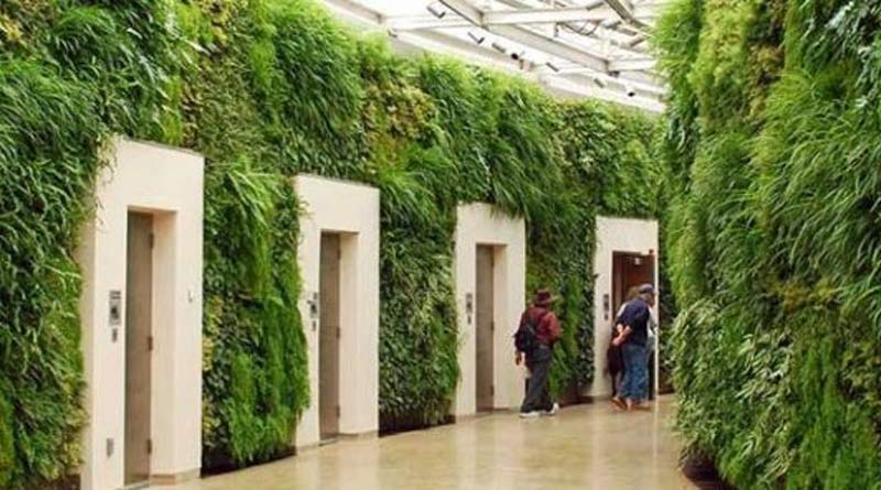 How to make green wall and design your home beautifully